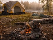 Which Woods Will Burn The Best For Your Campfire?
